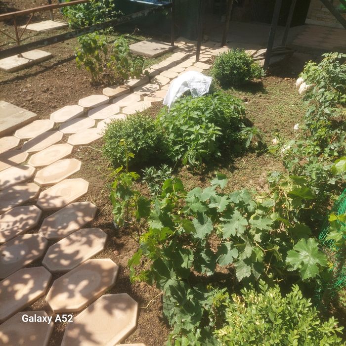 Ландшафт с нуля Полив и посадка.