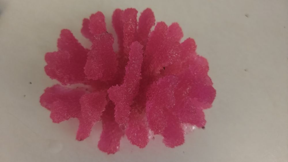 Akvarium va dekaratsyalar sotiladi