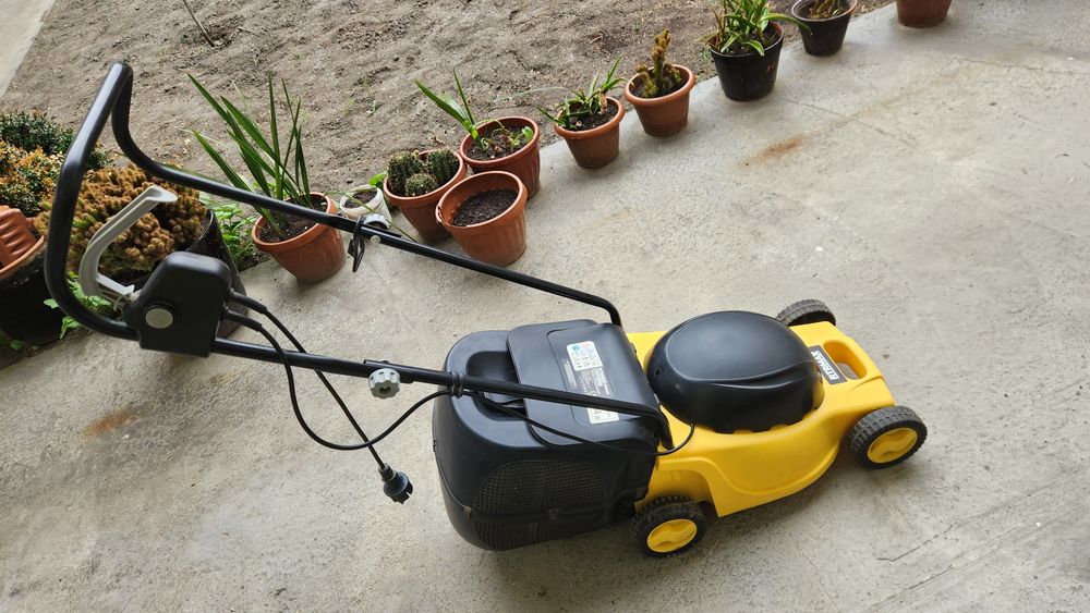 Gazonakaselka xolati yangide