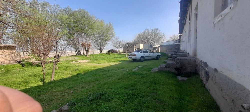 Uchastka (kotej)sotiladi srochno