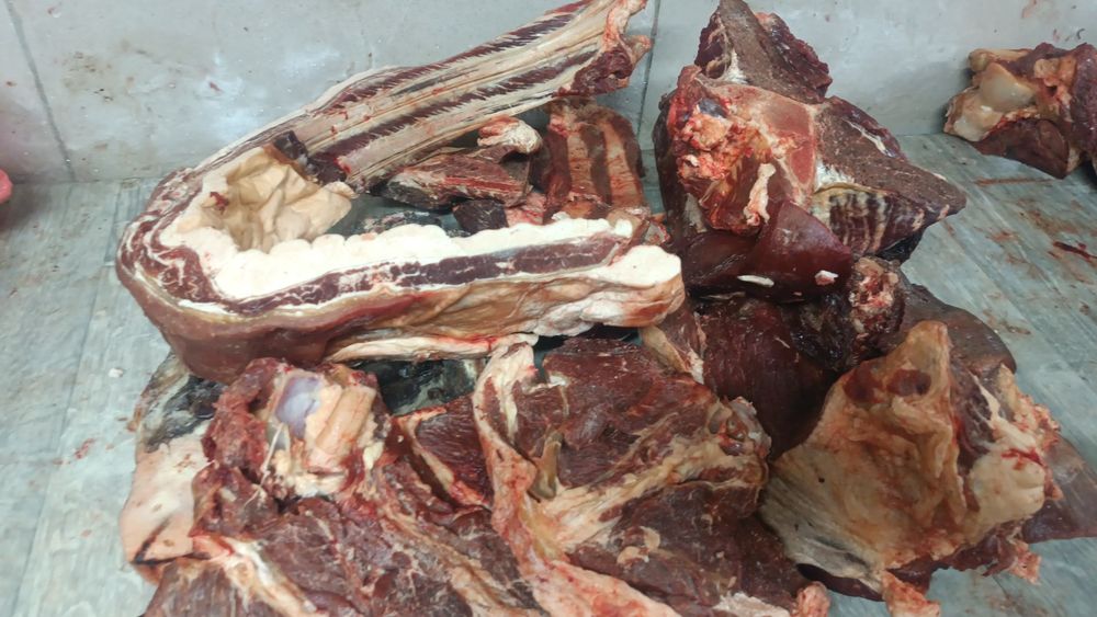 Капчены мяса конины. Сүр ет.