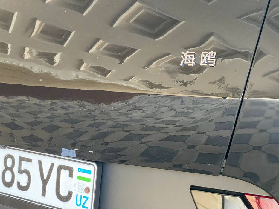 Byd seagull 305km