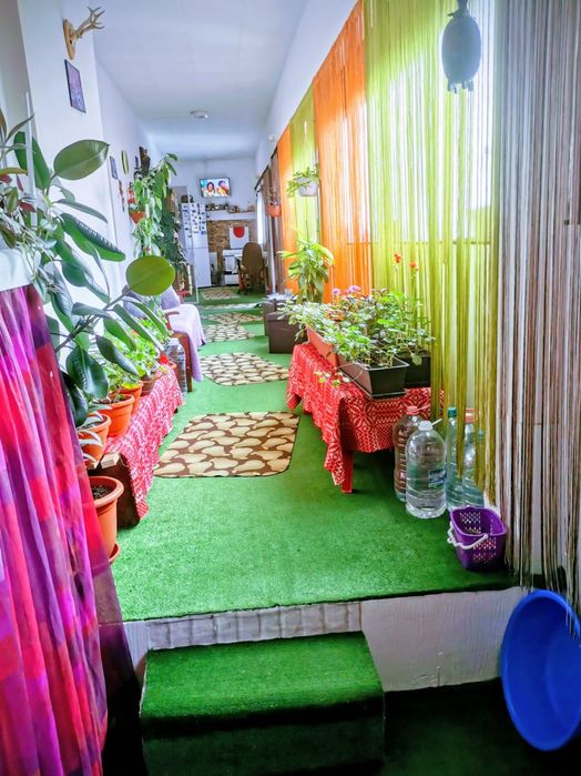 Vând casă în comuna Corbu – ideală pentru locuit sau vacanță