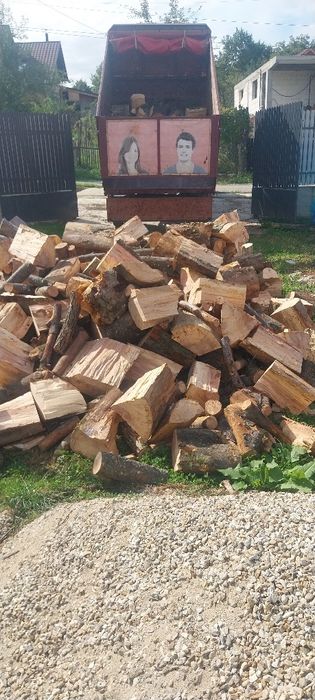 Fag și stejar de vanzare