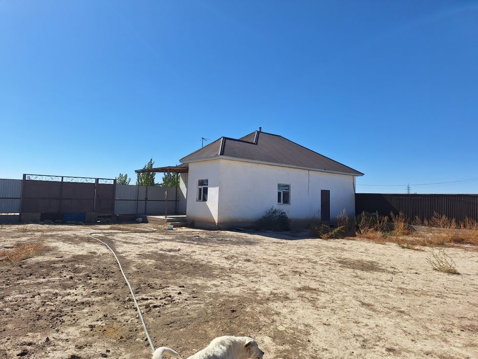 Фазенда (откорм) сатылады