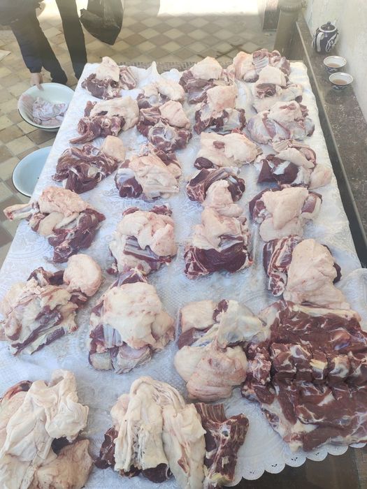 Кассоб Qassob servis xizmati xidsiz sogʻlom sifat qoʻylarimiz xam bor