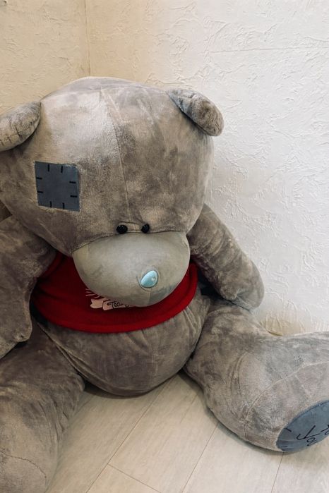 Плюшевый мишка Тэдди