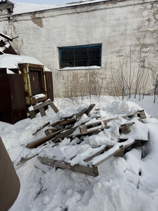 Бесплатно дерево