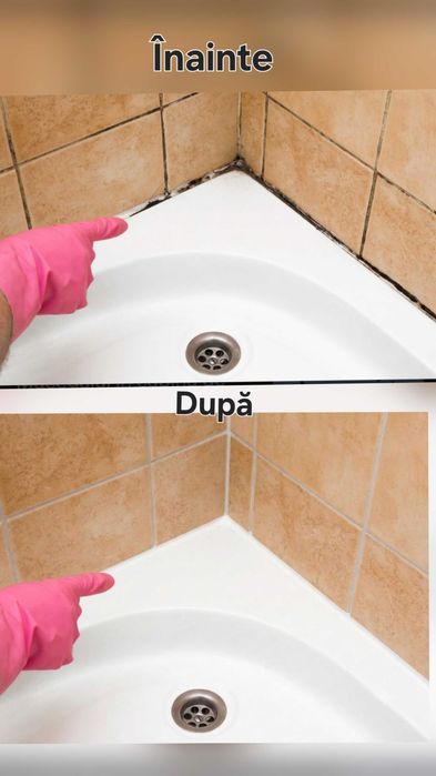 Servicii și lucrări mentenanța curte/apartament