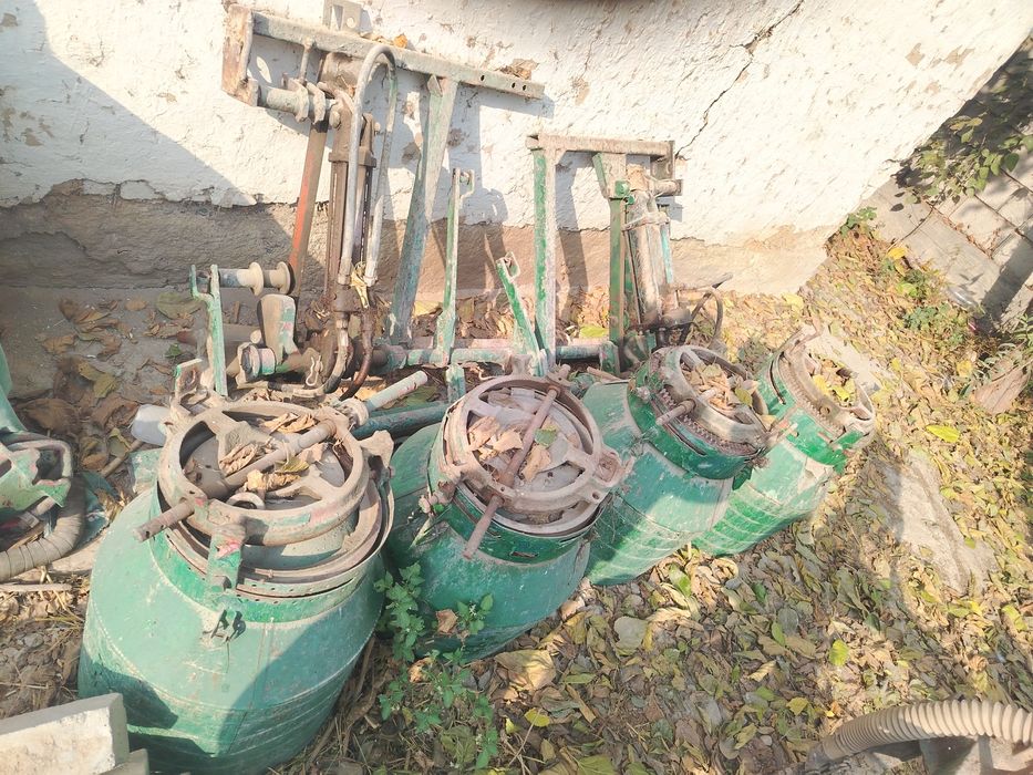 Kultuvatsa sus sotiladi selka