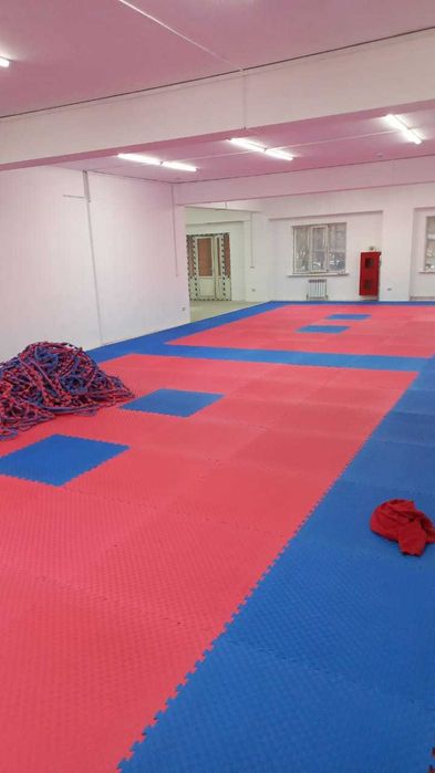 Ковер для борьбы