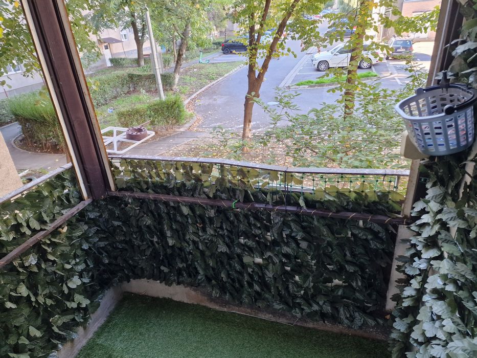 Chirie apartament PB