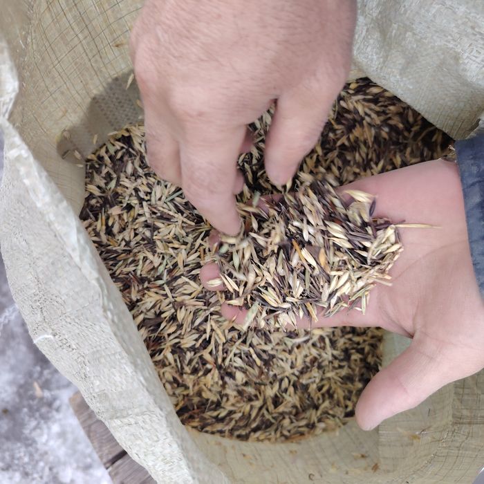 Продам корм зерно отходый