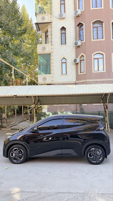 Byd sigul Seguall 2025/24