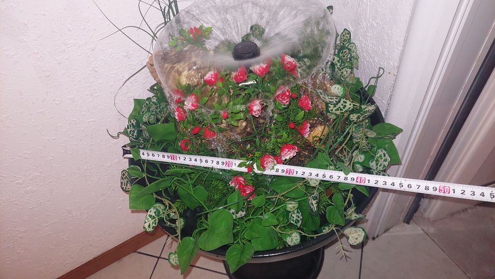 Шадраван - Фонтан