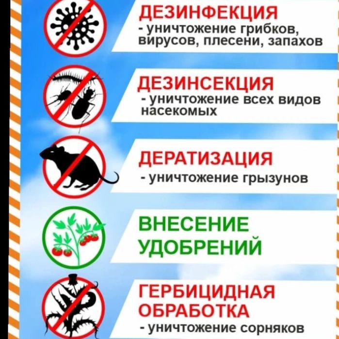 Дезинфекция обработка клопов муравьёв тараканов уничтожение грызунов