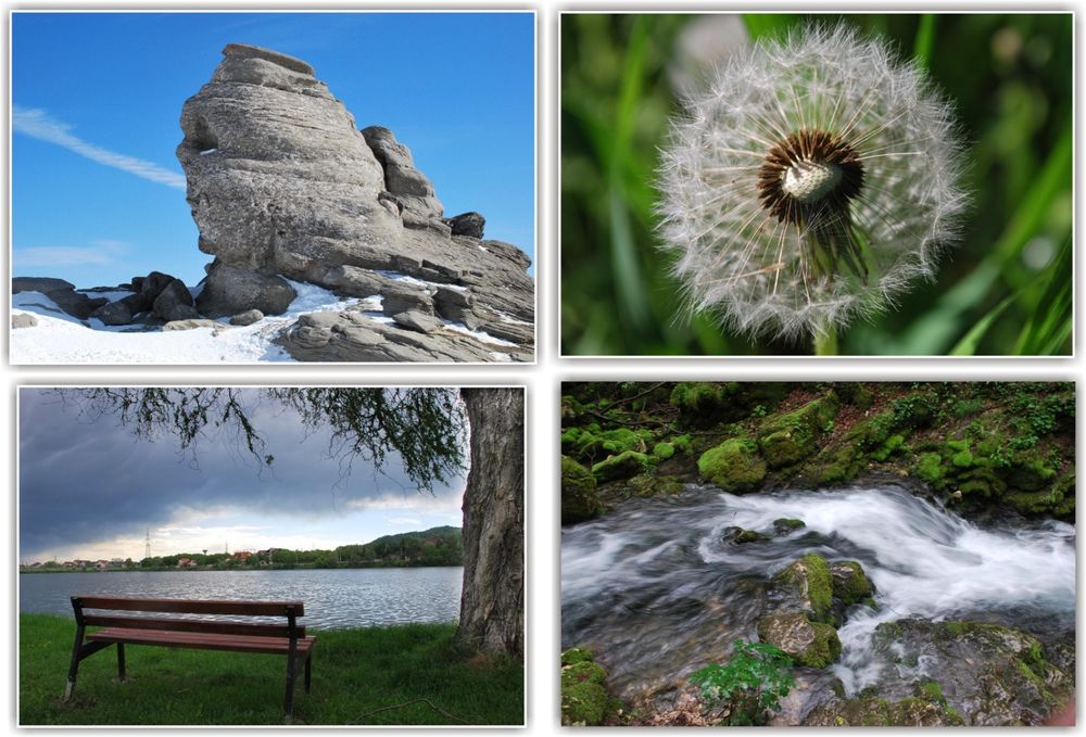 Tablouri Canvas 40x60 cm