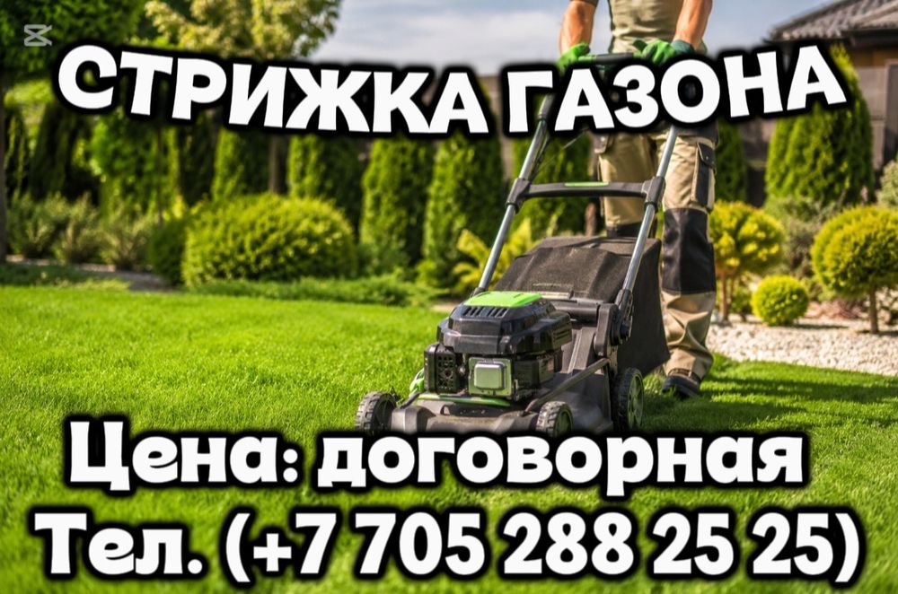 Услуга: Стрижка газона