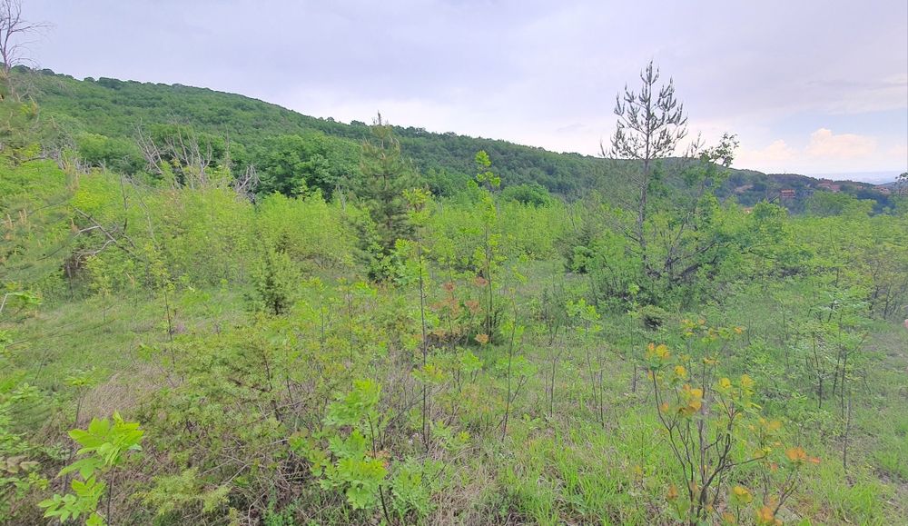 Продава се Парцел в с. Храбрино, Област Пловдив - 3677 кв.м за 5 €/кв.м - Снимка #3