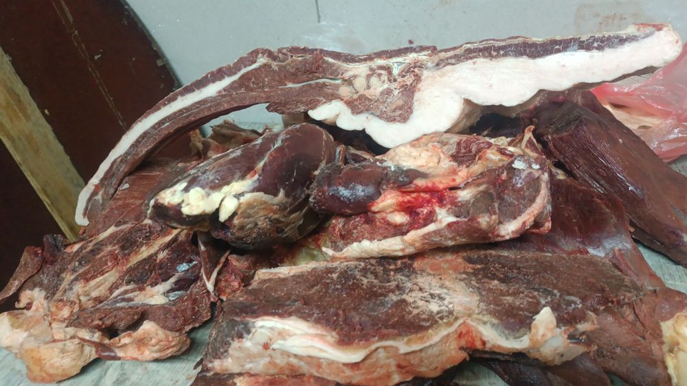 Капчены мяса конины. Сүр ет.