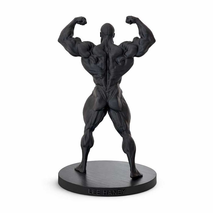 Mr.Olympia Arnold, Lee Haney, Dorian Yates, Ronnie Coleman, Jay Cutler