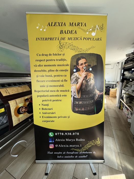 Roll-up 100x200 cel mai mic pret