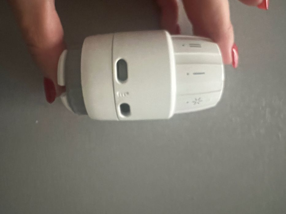 Cap termostatic apometru Danfoss RAS-C2