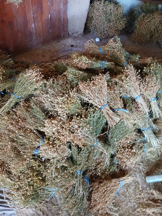 Продаётся гармала