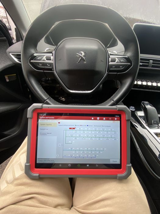 Diagnoza Auto  Codare Module Adaptare Resetare