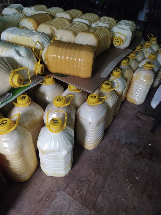 Продам натуральный горный мёд