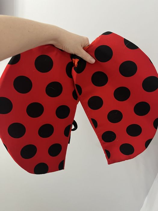 Костюм Божей Коровки