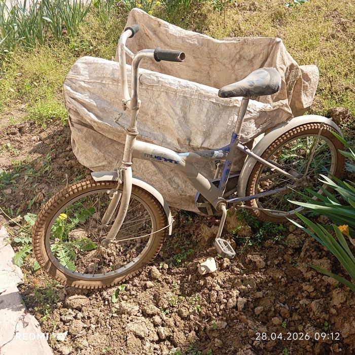 Velsaped xolati yaxwi yuradi