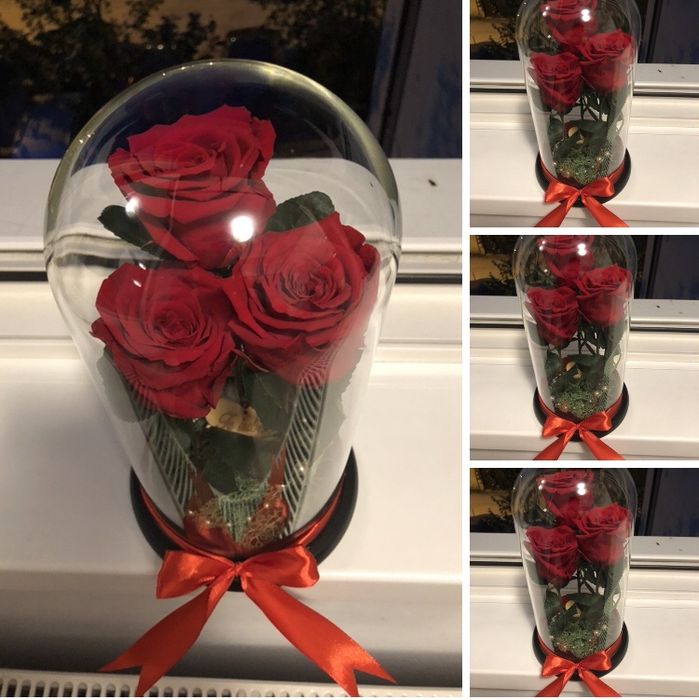 Trandafiri in cupola