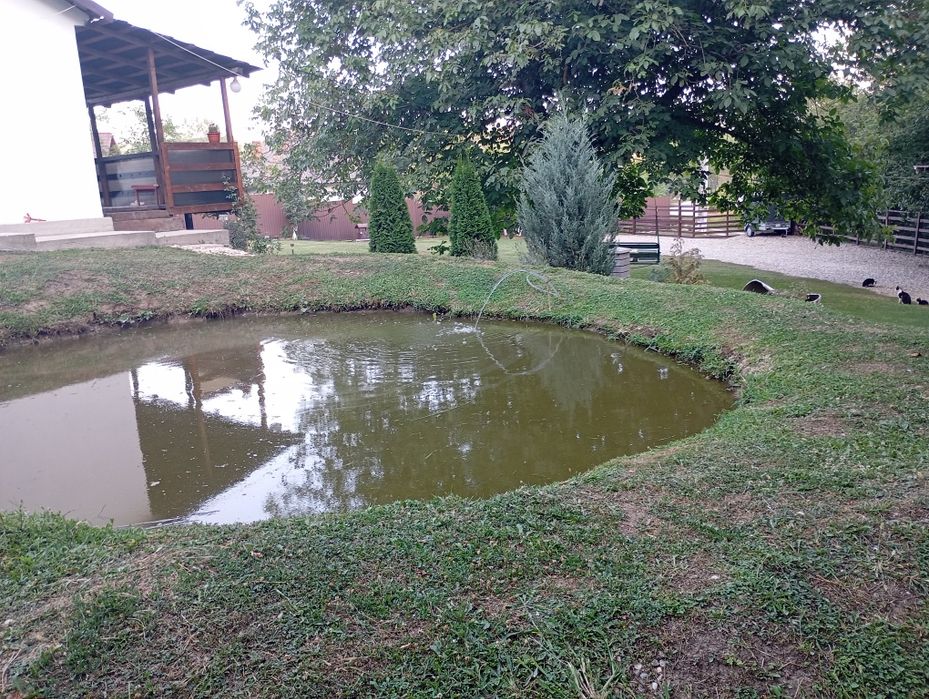Vând casă de vacanță