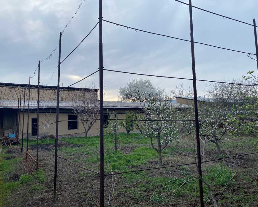 Янги ТошМи постидан 4 км, ОлтинТепа махалла 12 сотих ер хисобида