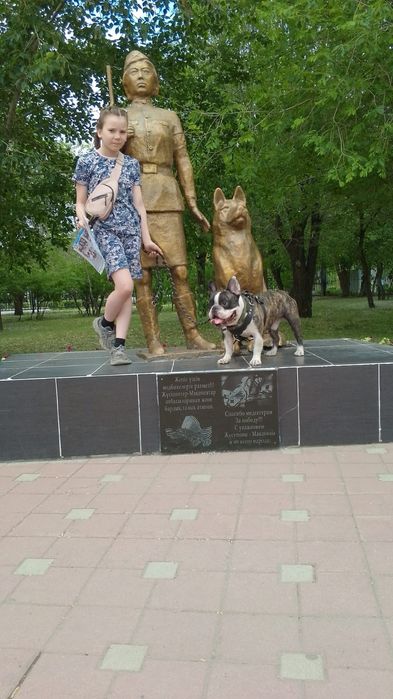 Вязка, кобель французский .