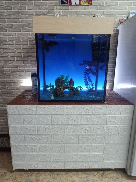 Аквариум с рыбками