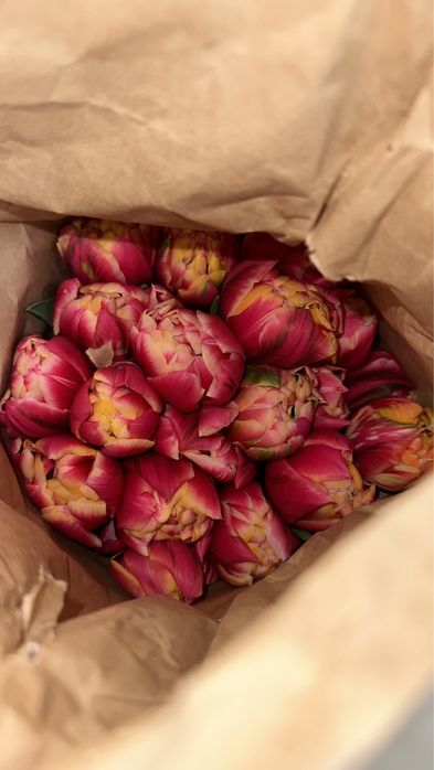 Оптом тюльпаны местные