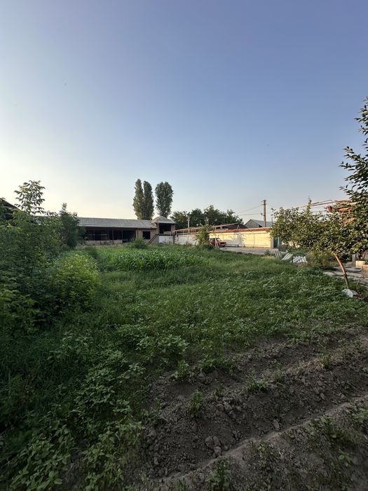 8.000$  Тойтепа , Qorasuv