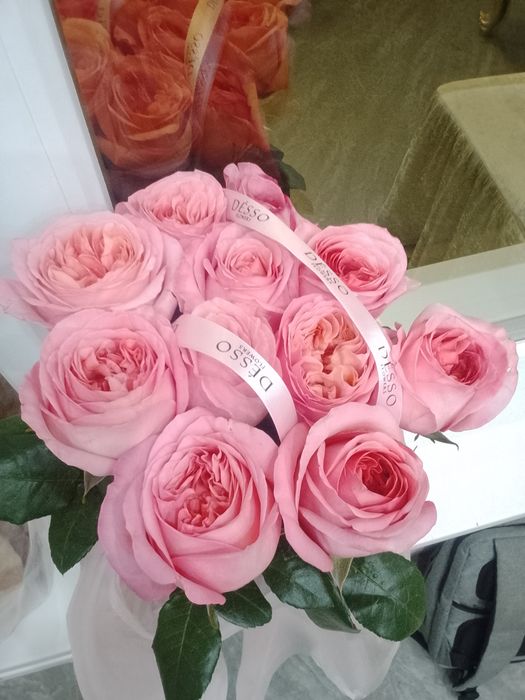 Продам цветы не дорого