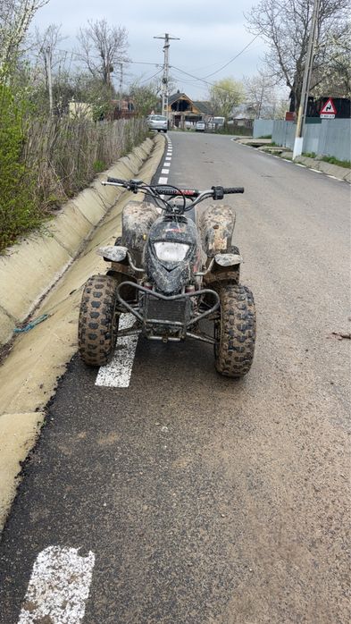 Atv 100 2t Pro Shark QUADZILLA