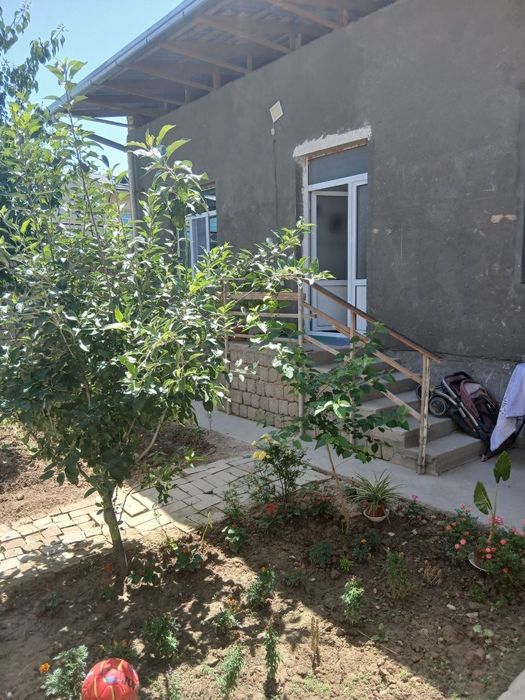 Keles Olmazor soylik 2 koʻcha