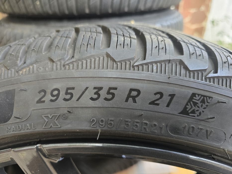 4 бр. Michelin Pilot Alpin 5 SUV 295/35 R21 107V XL – BMW  – 6.5 мм
