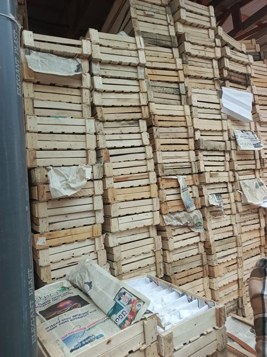 Холати зур пашти янгидек соно куп тошкентга дастафка киберамиз