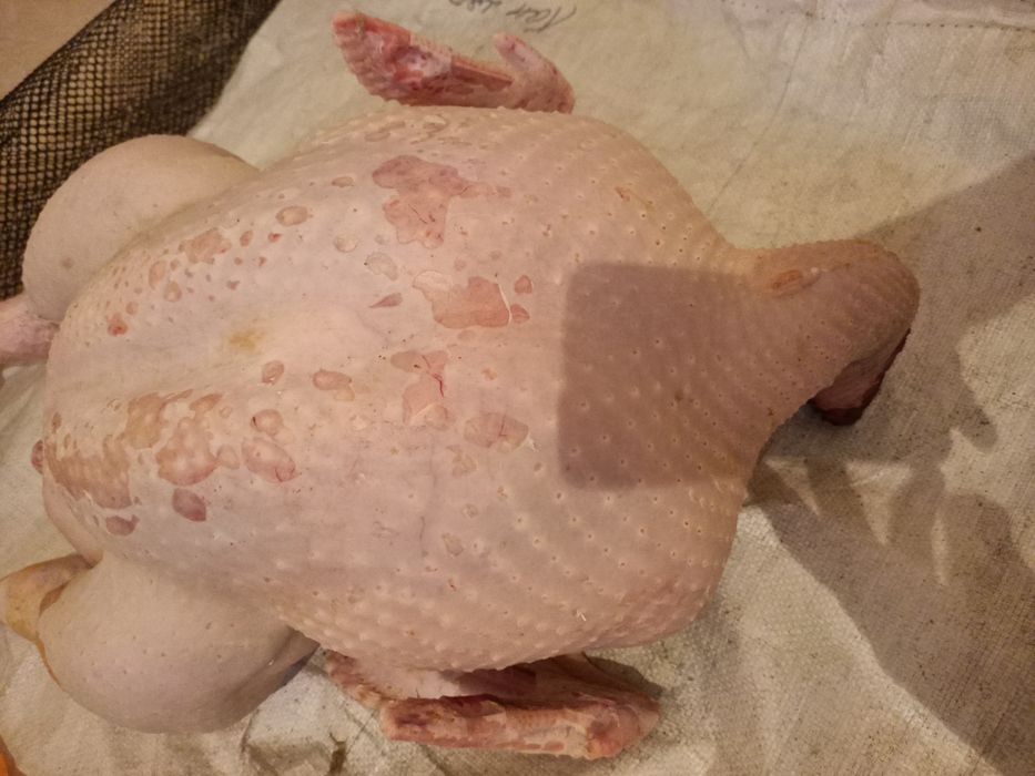 Тушка индюка целиком