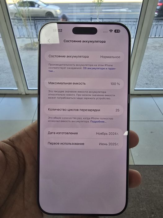 I 16 про мах.256гб 100%