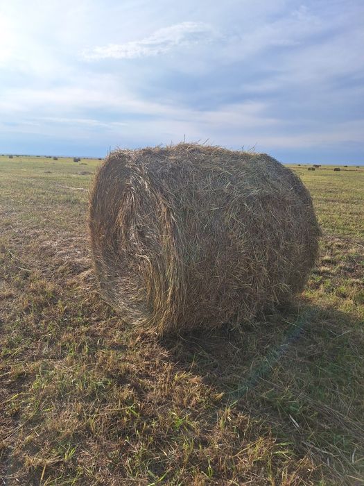 Прадаеться сено в