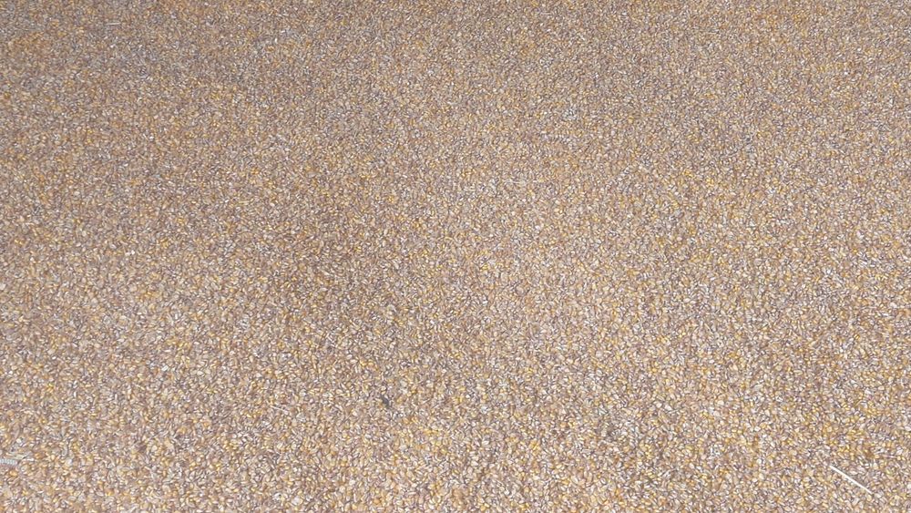 Продаётся  кукуруза