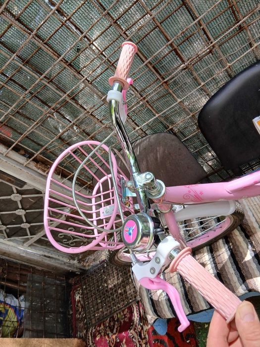 Bicicleta pentru copii
