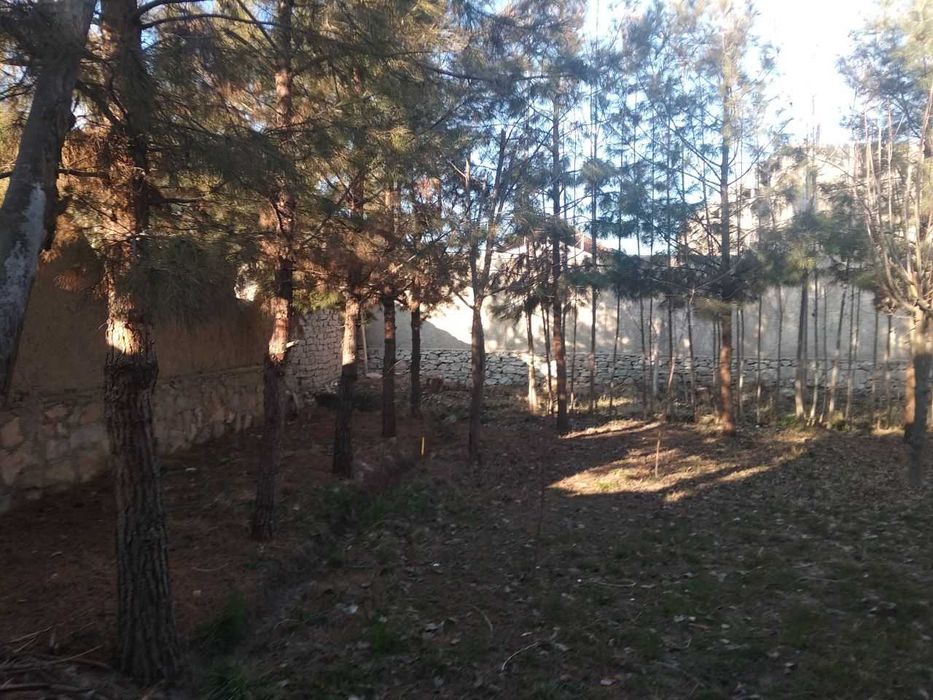 Magistral yo'l ustida, (Durmanda) ideal joy-Tezda sotiladi